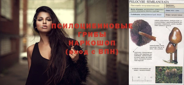 ECSTASY Беломорск
