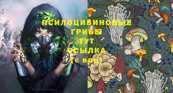 ECSTASY Беломорск