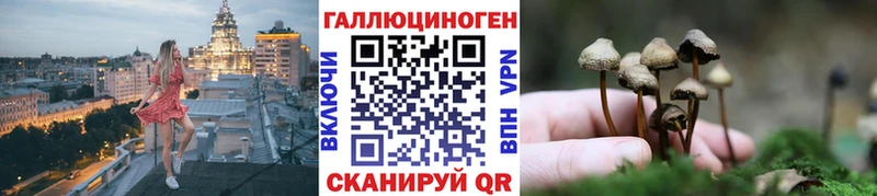 Галлюциногенные грибы мухоморы  Ершов 